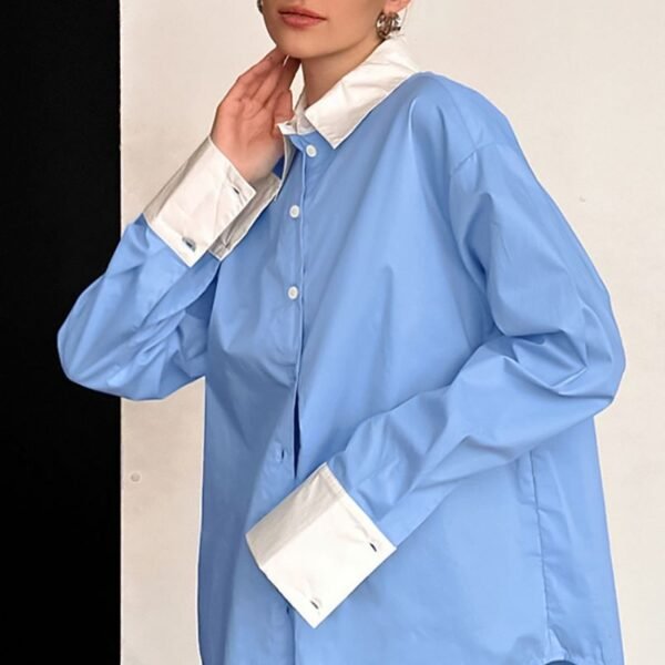 Blue Color-Blocked Collared Shirt